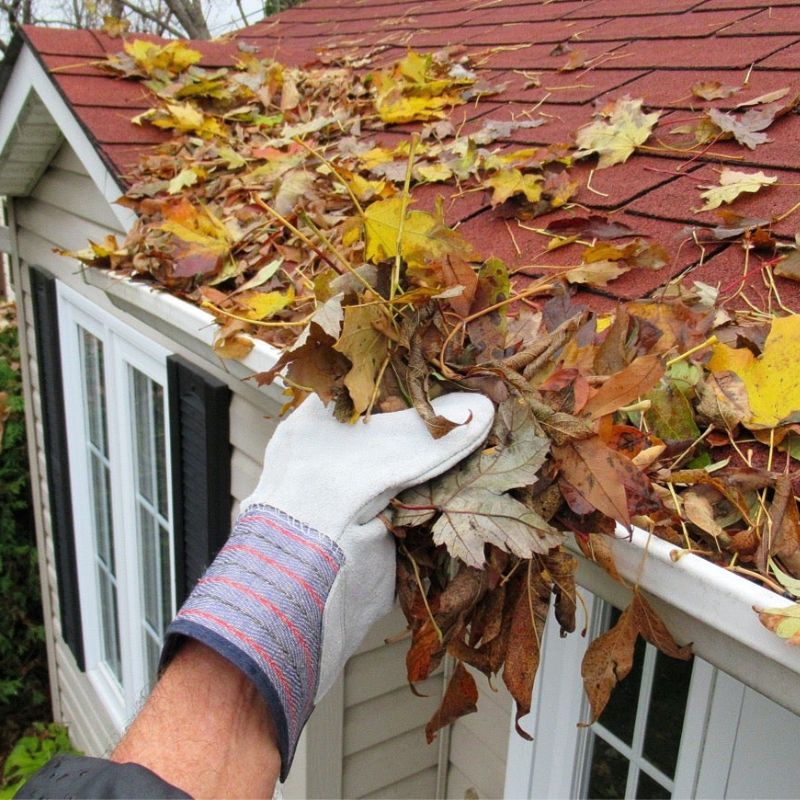 Gutter cleaning in Bolingbrook, IL